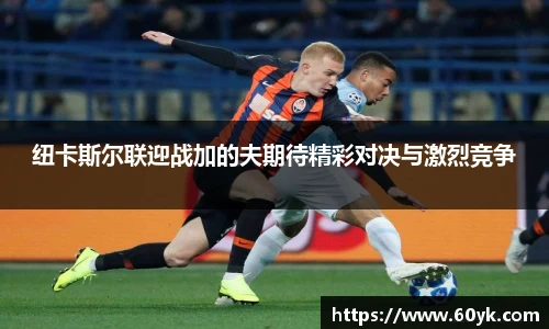 纽卡斯尔联迎战加的夫期待精彩对决与激烈竞争